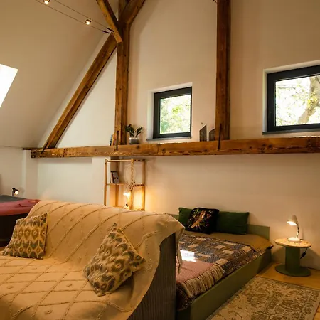 Glamping & Farm Zlate Podlesi - Letni Staj V Konirne